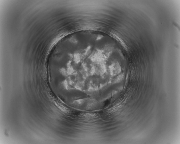 X0000096381027200802141426