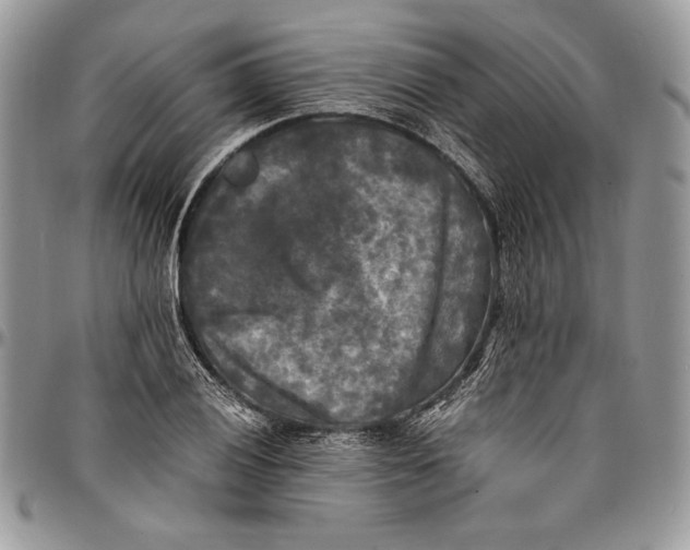 X0000096381028200802141426