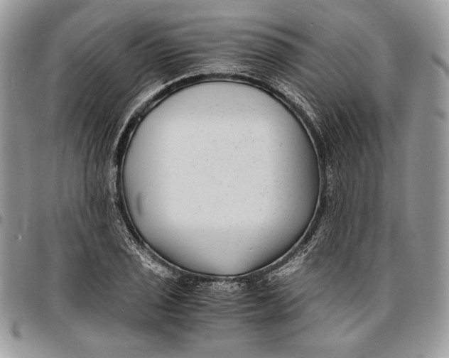 X0000096381029200802141426