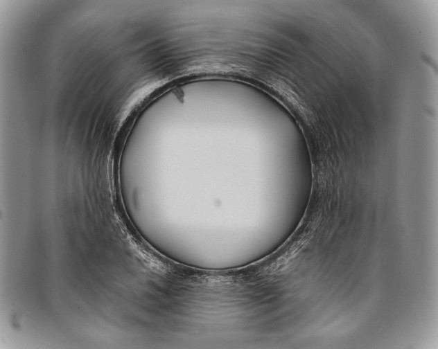 X0000096381030200802141426