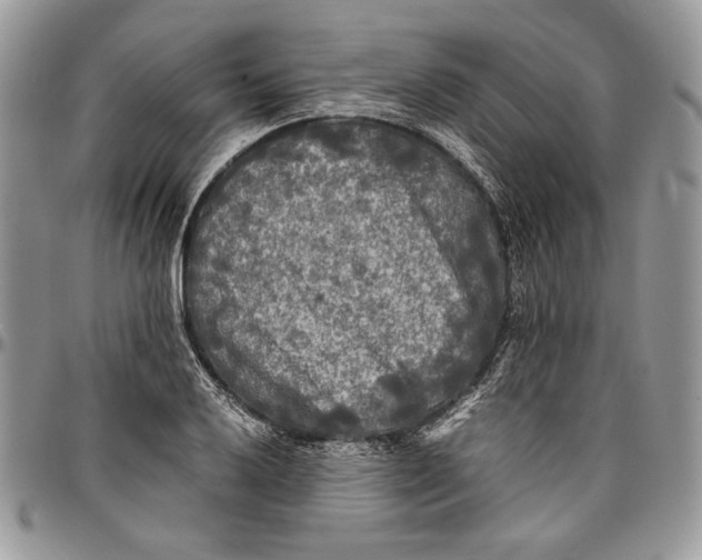 X0000096381032200802141426