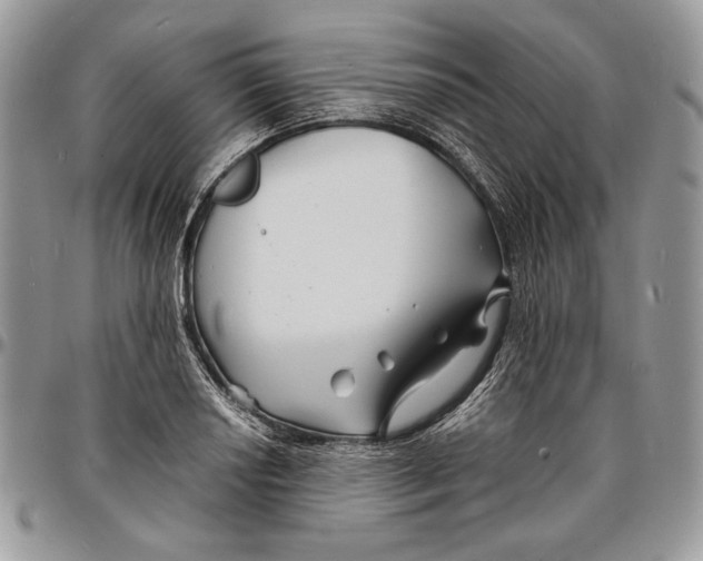 X0000096381034200802141426