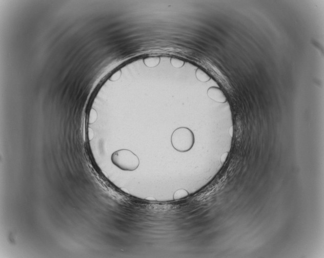 X0000096381036200802141426