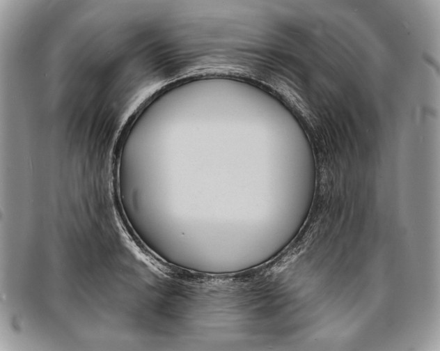 X0000096381038200802141426