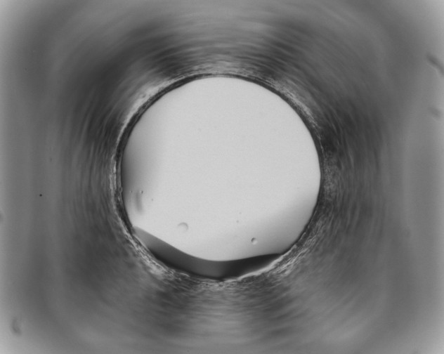 X0000096381040200802141426