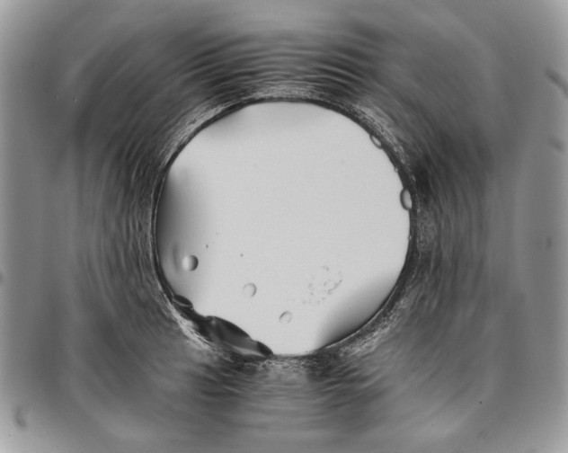 X0000096381041200802141426