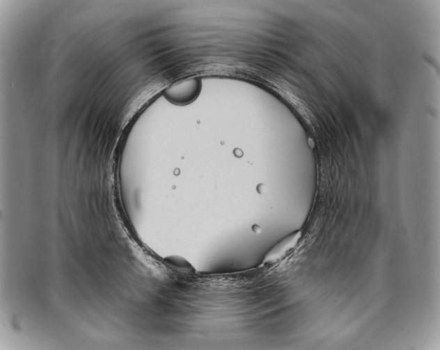 X0000096381042200802141426