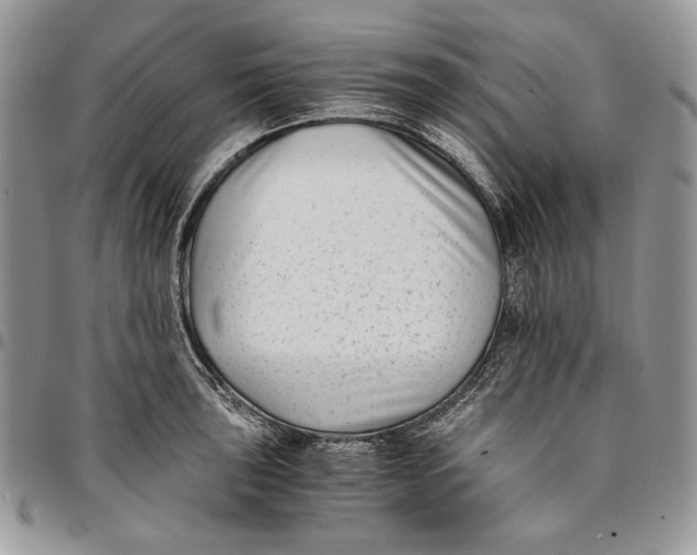 X0000096381043200802141426