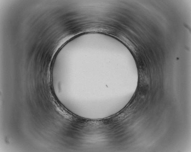 X0000096381044200802141426