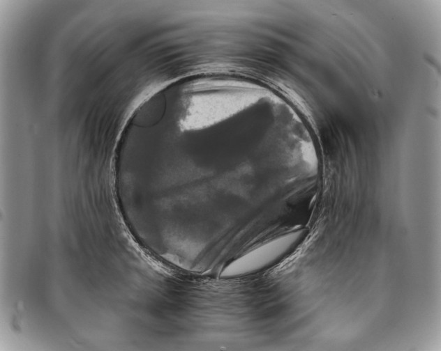 X0000096381045200802141426