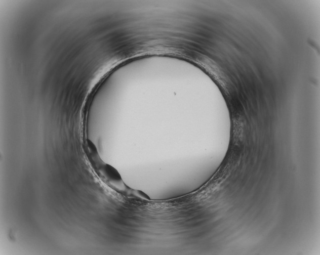 X0000096381046200802141426