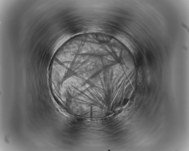 X0000096381047200802141426