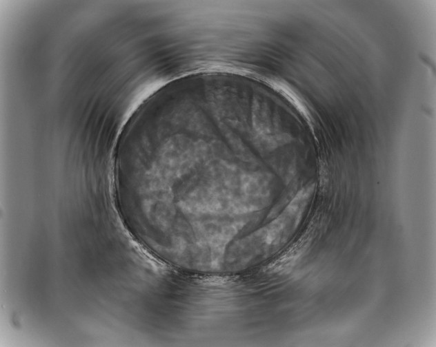 X0000096381048200802141426