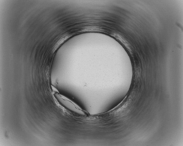 X0000096381049200802141426