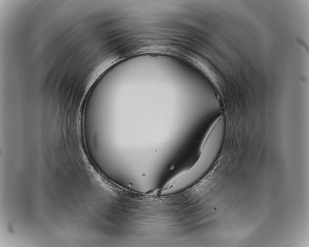 X0000096381050200802141426