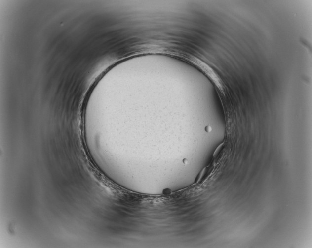 X0000096381051200802141426