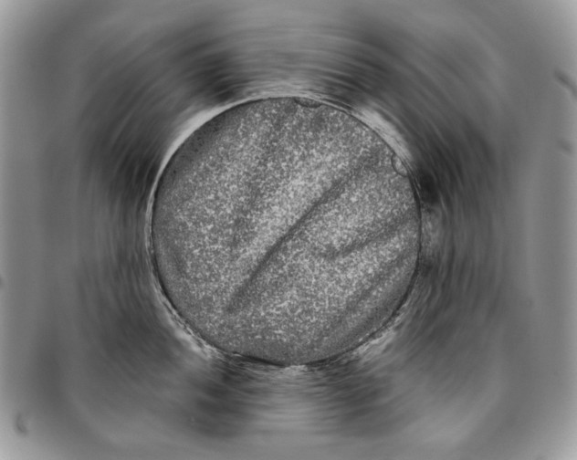 X0000096381052200802141426