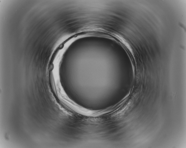 X0000096381053200802141426