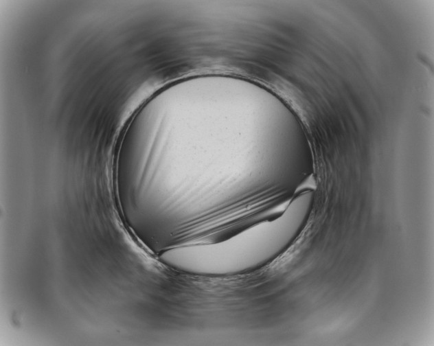 X0000096381054200802141426