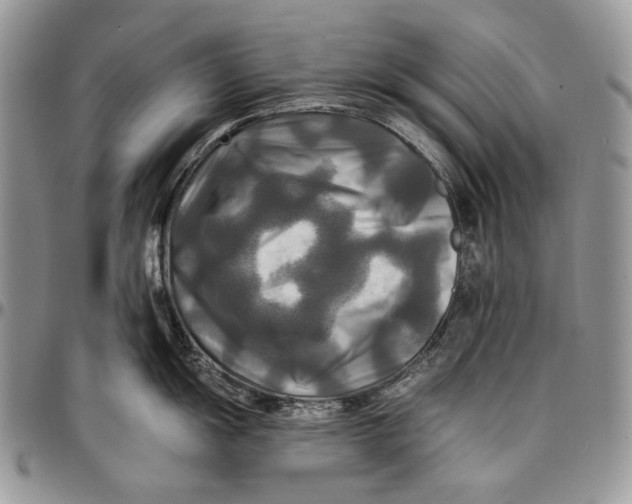 X0000096381055200802141426