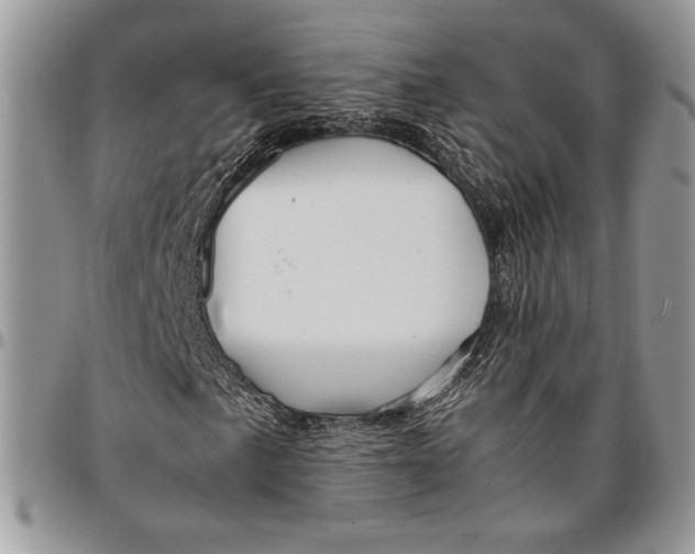 X0000096381057200802141426