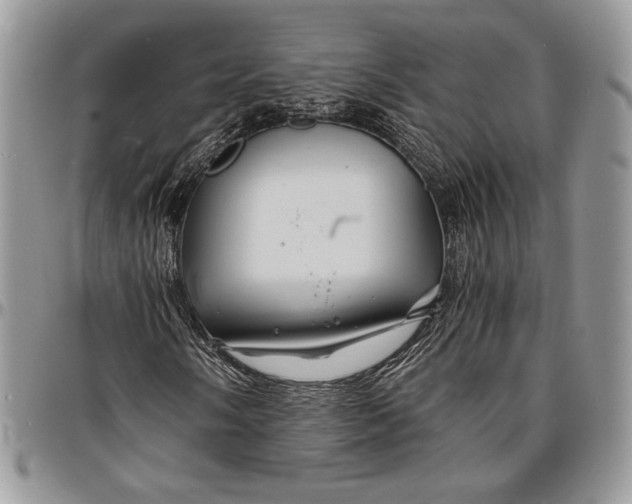 X0000096381058200802141426