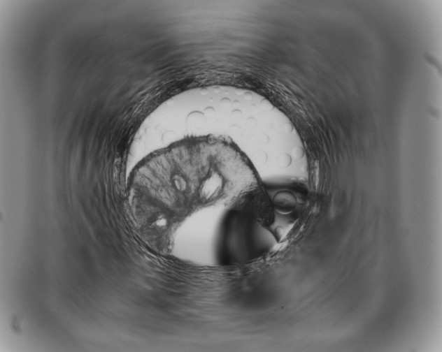 X0000096381059200802141426