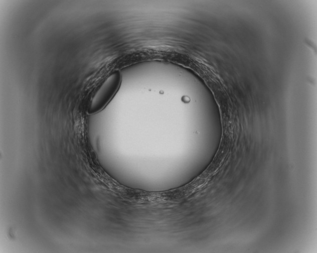 X0000096381061200802141426