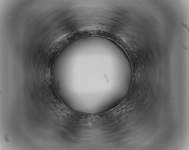 X0000096381062200802141426