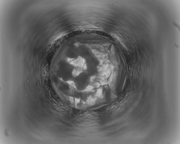 X0000096381063200802141426