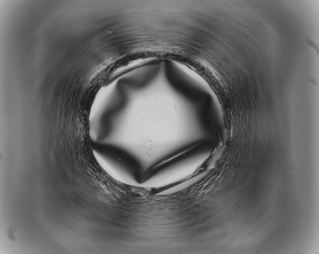 X0000096381064200802141426