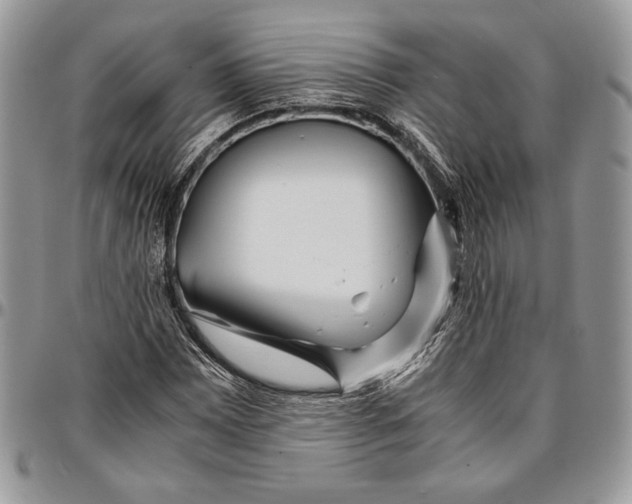 X0000096381065200802141426