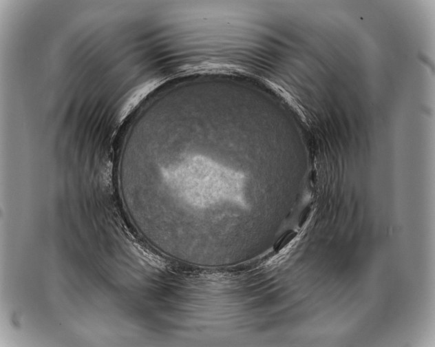 X0000096381066200802141426