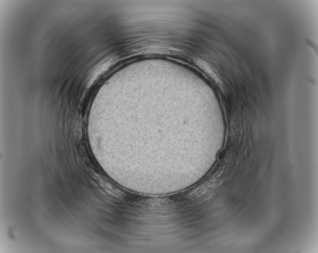 X0000096381067200802141426