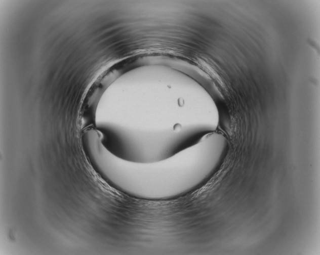 X0000096381068200802141426