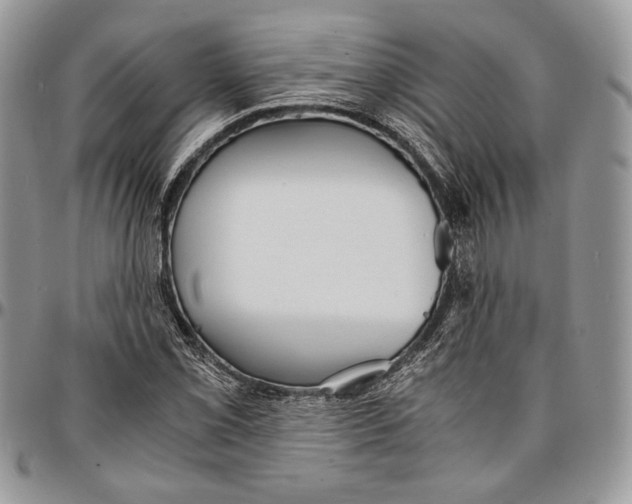 X0000096381069200802141425