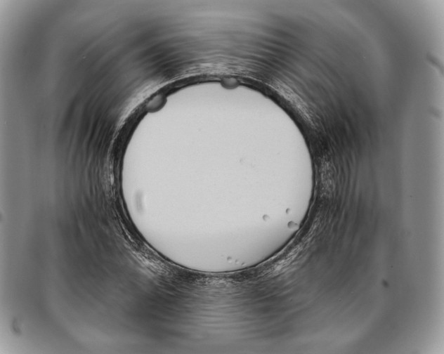 X0000096381070200802141425