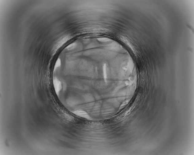 X0000096381071200802141425