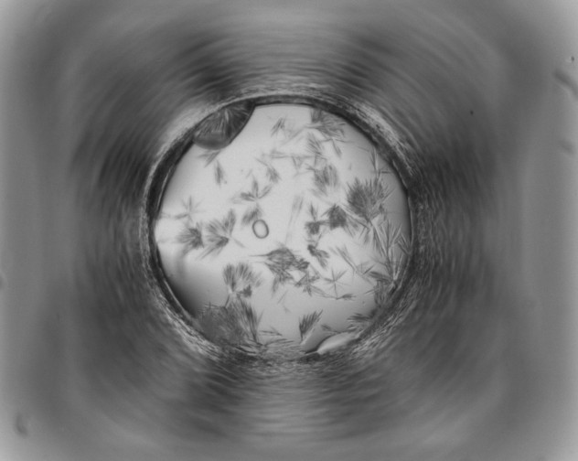 X0000096381072200802141425