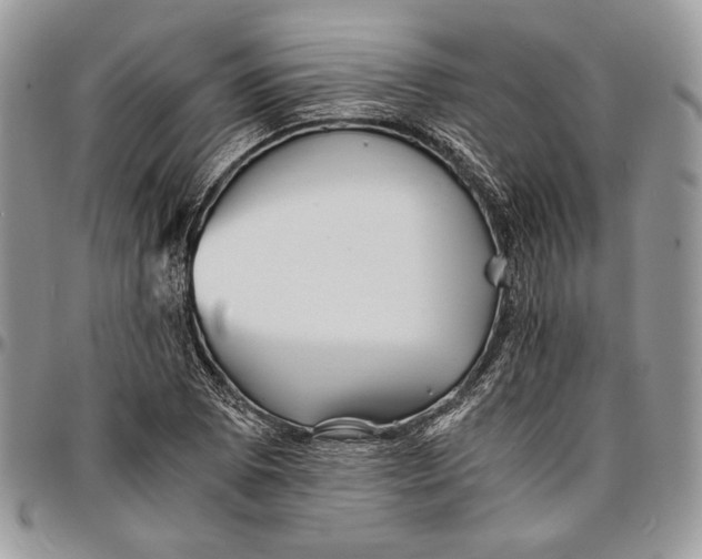 X0000096381073200802141425