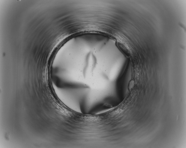 X0000096381076200802141425