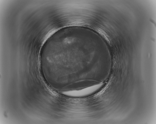 X0000096381077200802141425