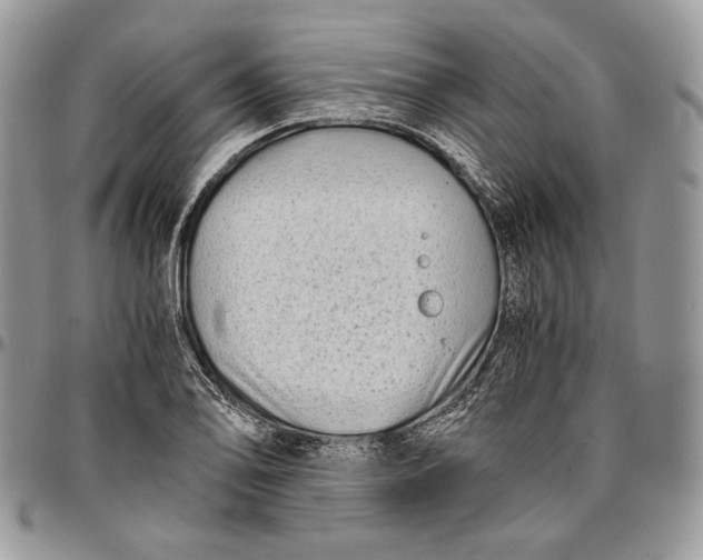 X0000096381078200802141425