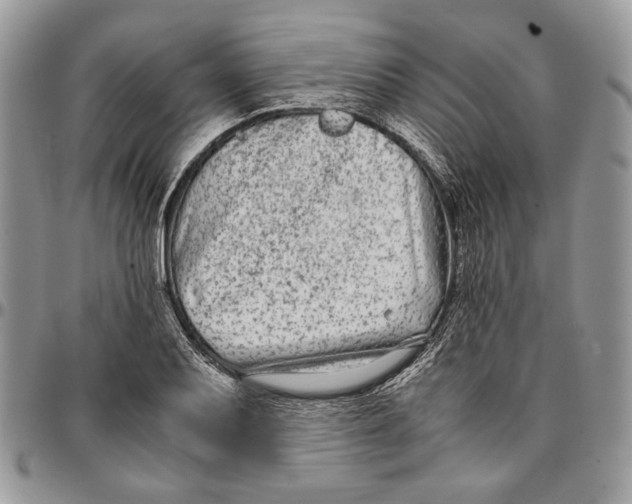 X0000096381079200802141425