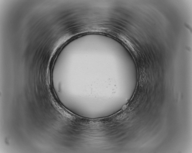 X0000096381080200802141425