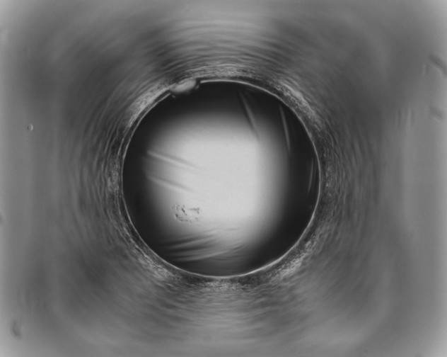 X0000096381081200802141425