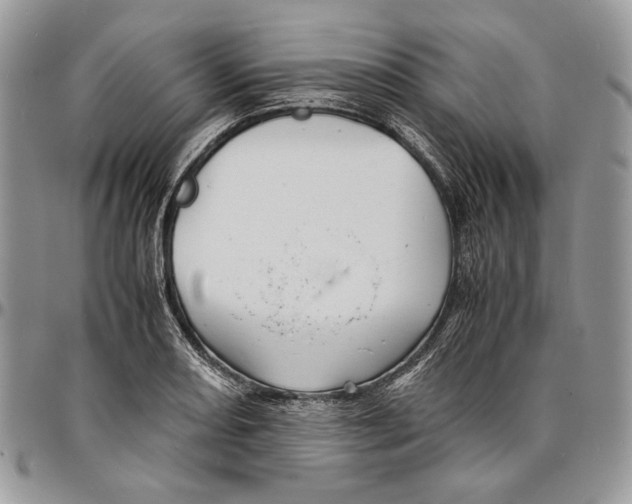 X0000096381082200802141425