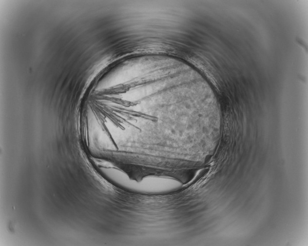 X0000096381083200802141425