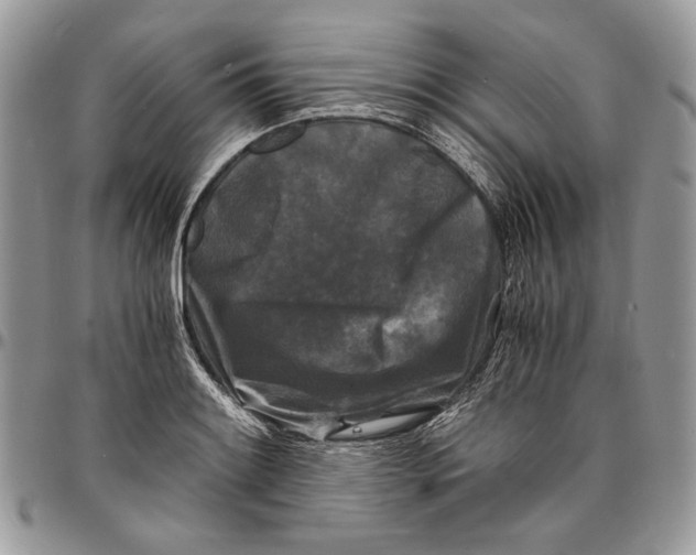 X0000096381084200802141425