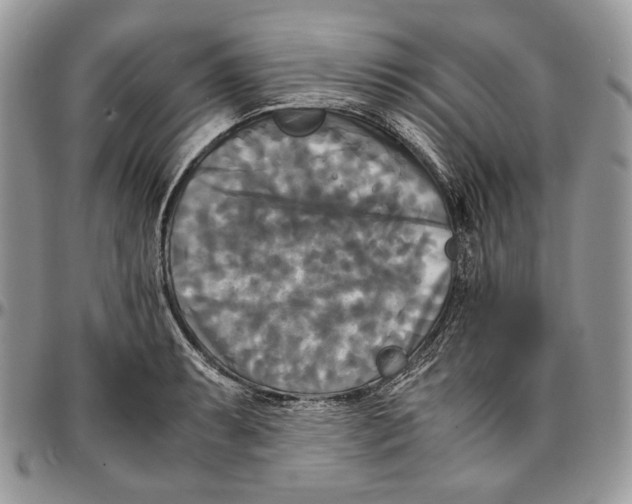 X0000096381087200802141425